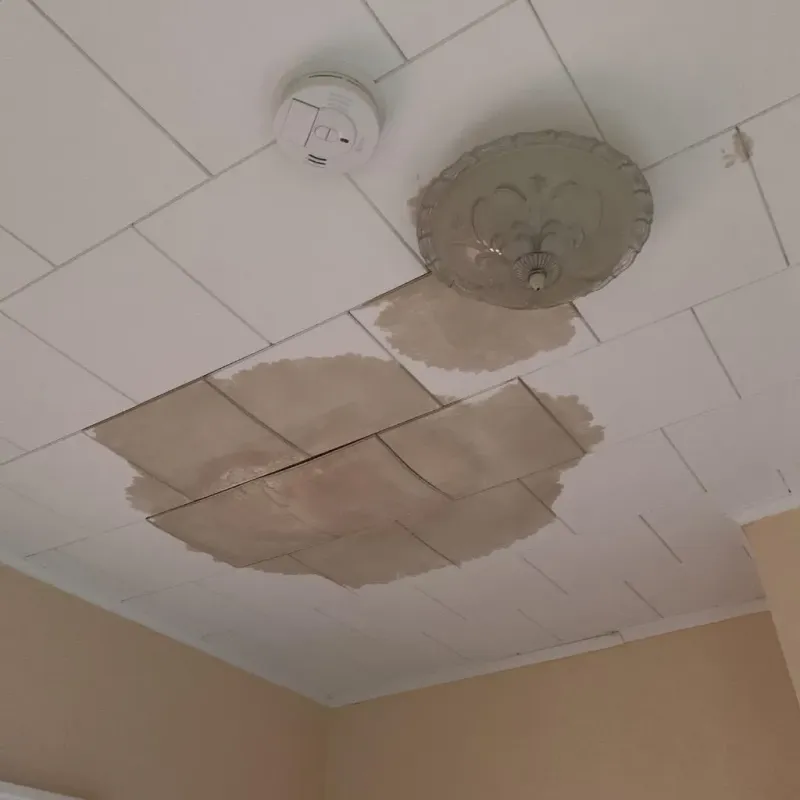 Ceiling Water Damage Repair in Independent Hill, VA