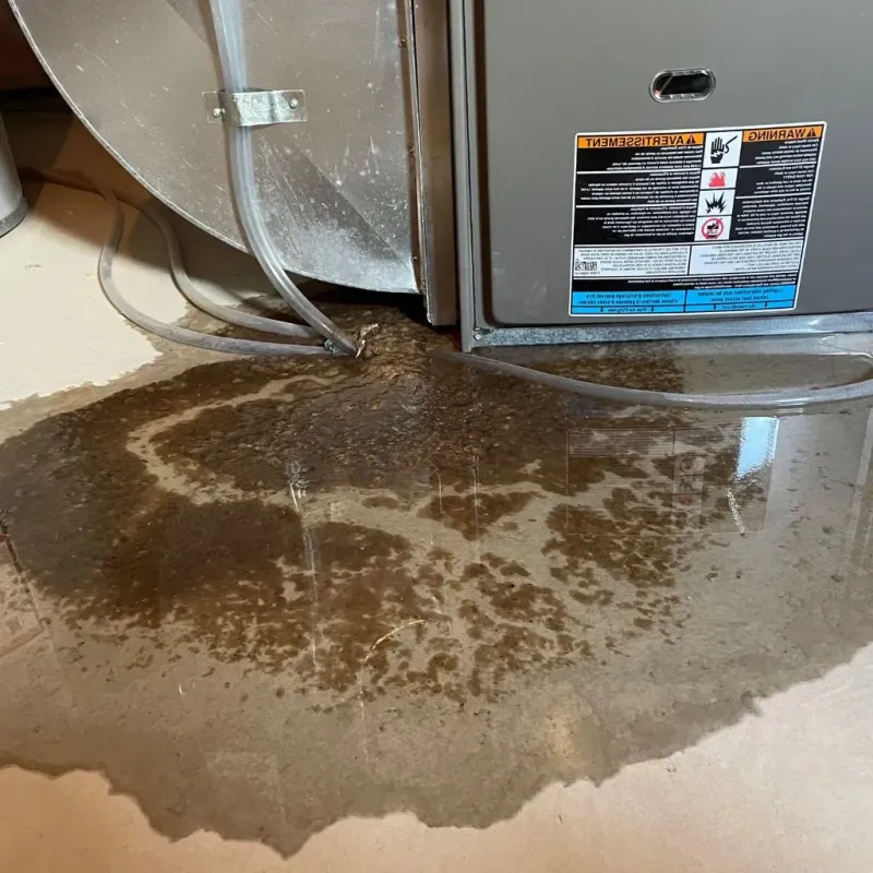 Pipe Burst and Leak Restoration in Independent Hill, VA