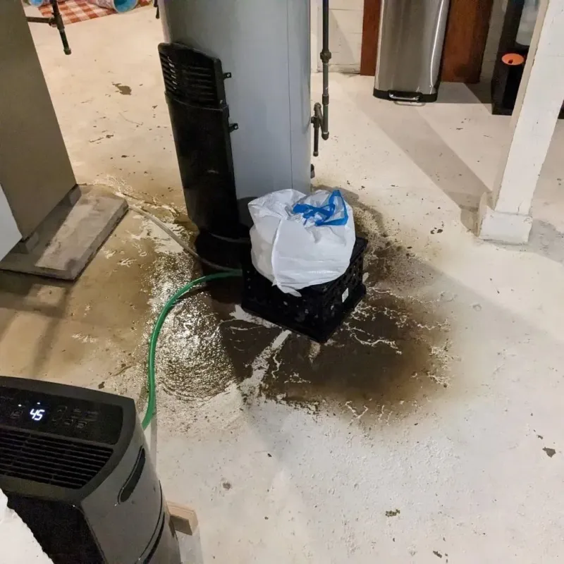 Sewage Backup Cleanup Service in Independent Hill, VA